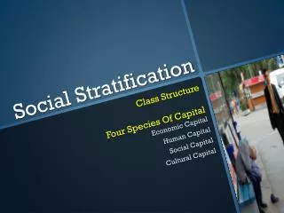 social stratification