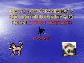 KIEDY CHCESZ PRZYJECHA? Z PSEM ,KOTEM LUB FRETK? DO POLSKI Z KRAJU TRZECIEGO