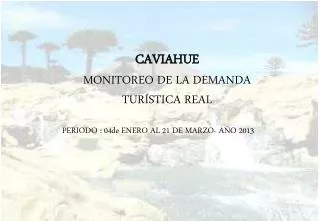 CAVIAHUE MONITOREO DE LA DEMANDA TURÍSTICA REAL PERIODO : 04de ENERO AL 21 DE MARZO- AÑO 2013
