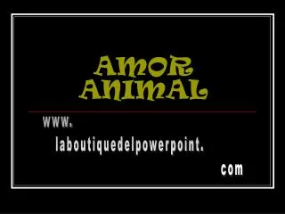 amor animal