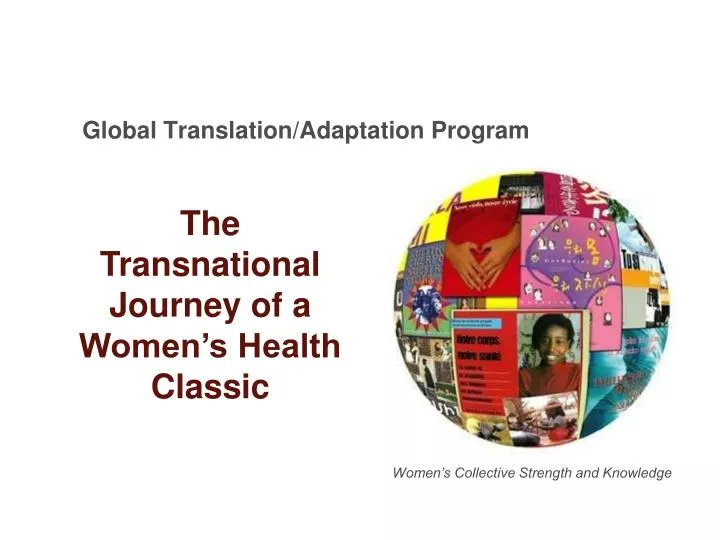 global translation adaptation program