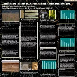 Assessing the Reaction of American Wildrice to Inoculated Pathogens.