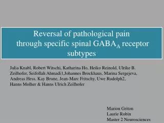 Reversal of pathological pain through specific spinal GABA A receptor subtypes