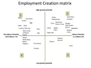 Employment Creation matrix