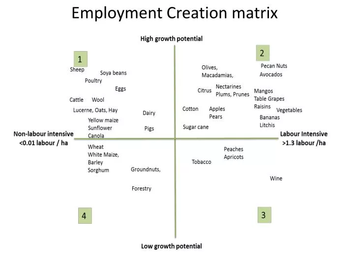 employment creation matrix