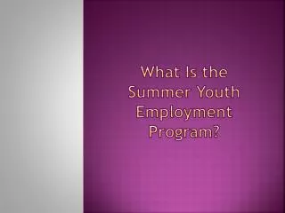 What Is the Summer Youth Employment Program?