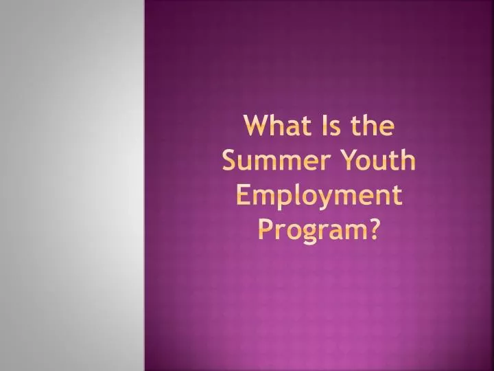 what is the summer youth employment program