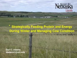 Strategically Feeding Protein and Energy During Winter and Managing Cow Condition
