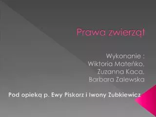 prawa zwierz t