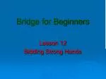Bridge for Beginners - slide 1