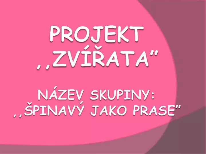 projekt zv ata n zev skupiny pinav jako prase