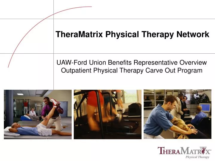 theramatrix physical therapy network