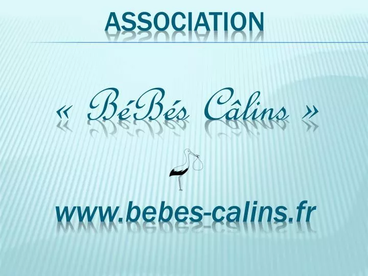 association b b s c lins www bebes calins fr