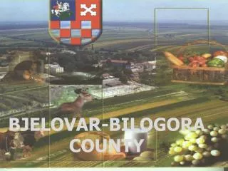 BJELOVAR-BILOGORA COUNTY