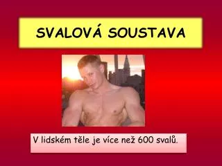 svalov soustava