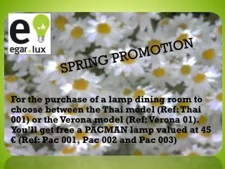 spring promotion
