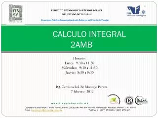 calculo integral 2amb