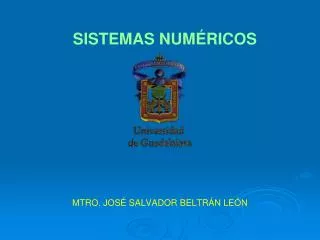 sistemas num ricos