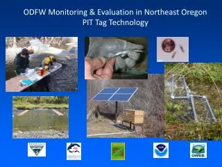 ODFW Monitoring &amp; Evaluation in Northeast Oregon PIT Tag Technology