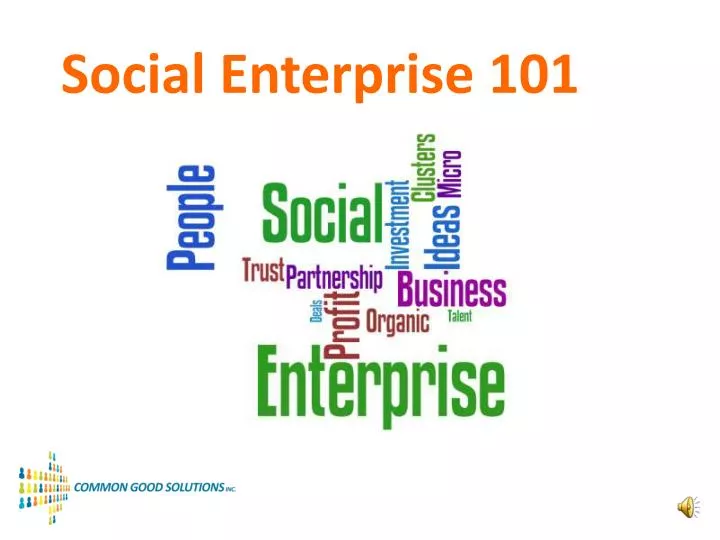 social enterprise 101
