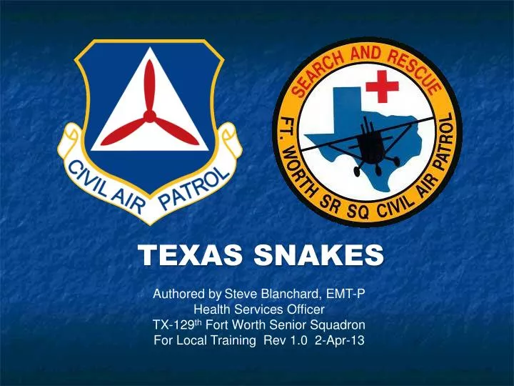 texas snakes