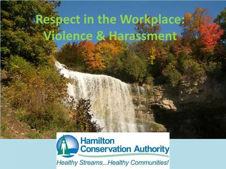 respect in the workplace violence harassment