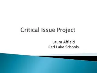 Critical Issue Project