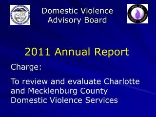 domestic violence advisory board