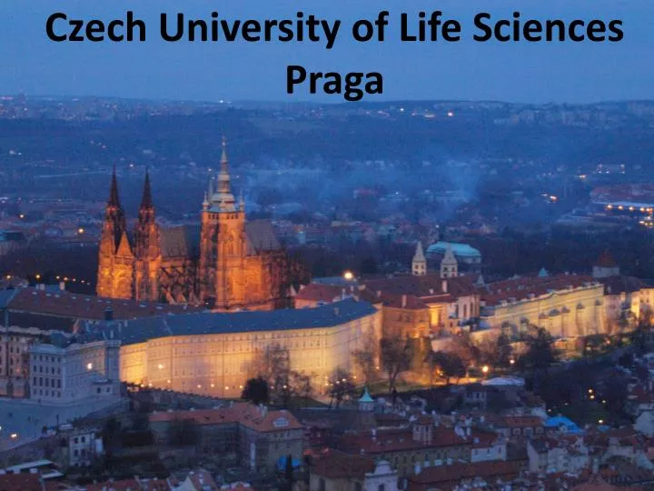 czech university of life sciences praga