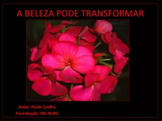 a beleza pode transformar