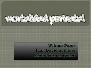 wilmer p rez juan david quintero sandra yanchaguano