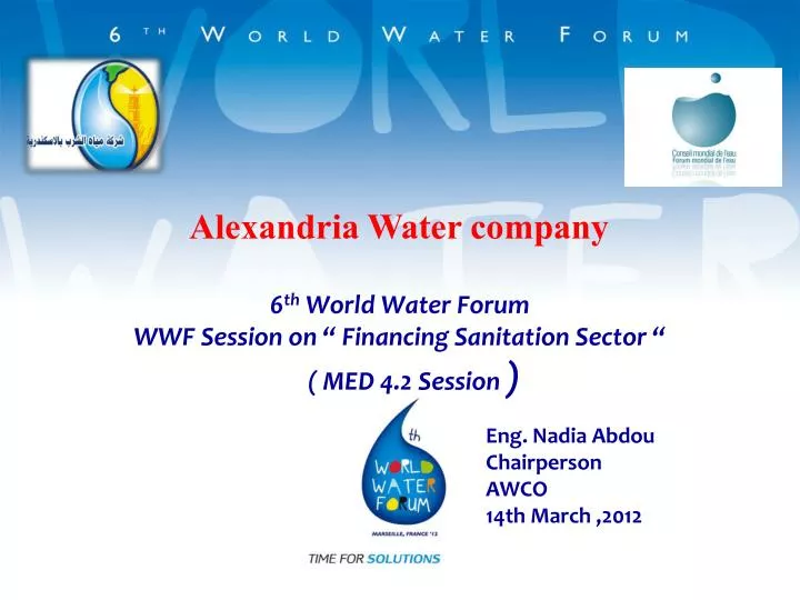 6 th world water forum wwf session on financing sanitation sector med 4 2 session