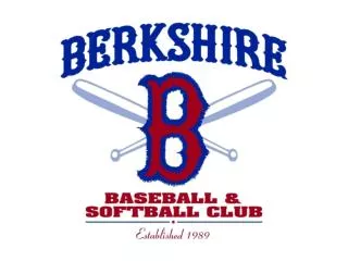 Why Berkshire Baseball?