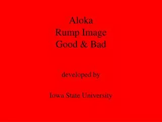 Aloka Rump Image Good &amp; Bad