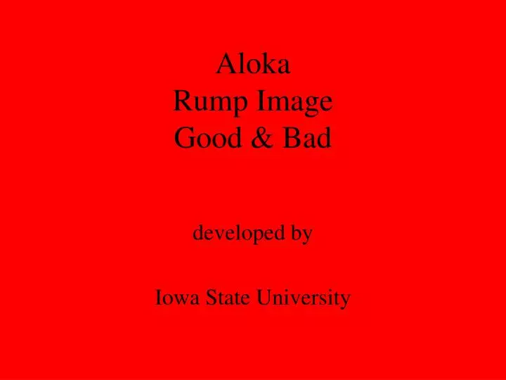 aloka rump image good bad