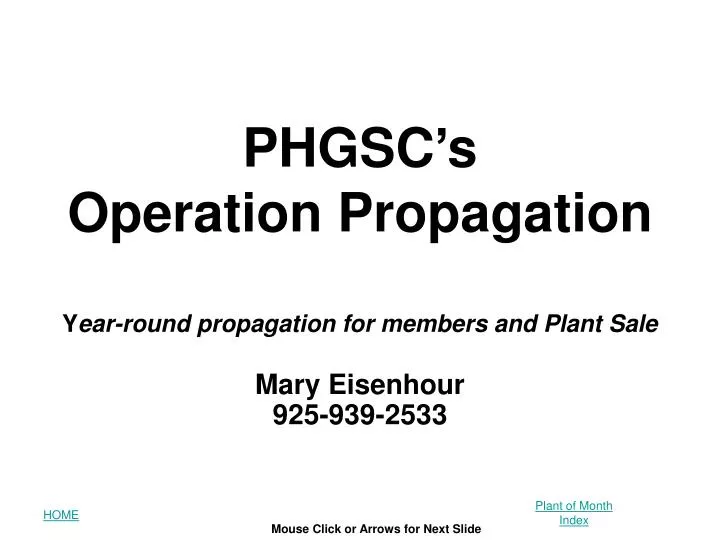 phgsc s operation propagation y ear round propagation for members and plant sale