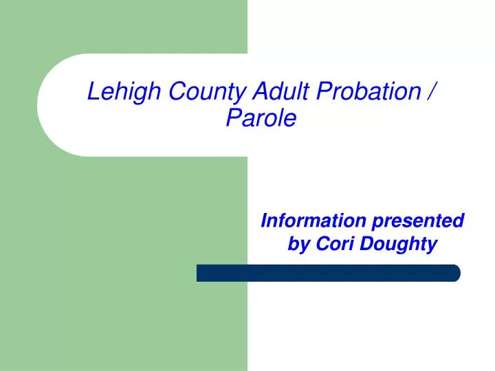 lehigh county adult probation parole