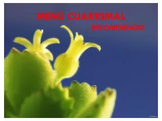 men cuaresmal recomendado