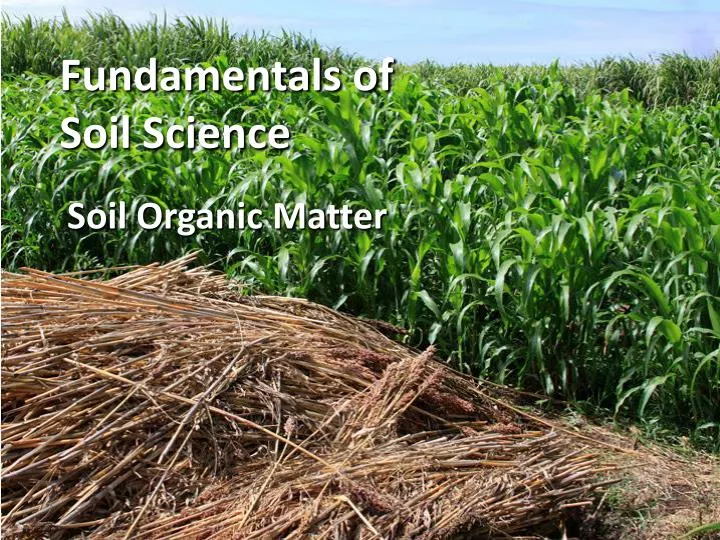 fundamentals of soil science