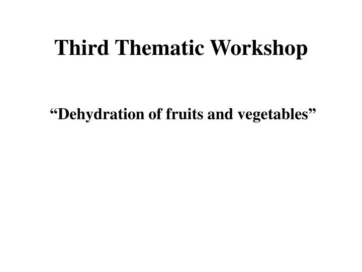 third thematic workshop