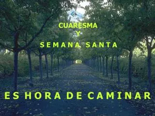e s h o r a d e c a m i n a r