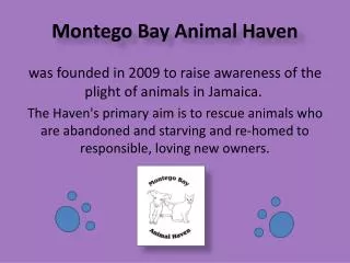 Montego Bay Animal Haven