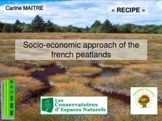 Socio-economic approach of the french peatlands