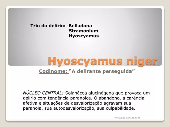 hyoscyamus niger