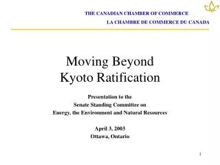 Moving Beyond Kyoto Ratification