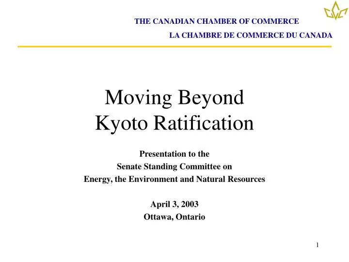 moving beyond kyoto ratification