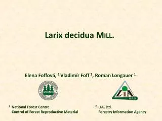 Larix decidua M ILL .