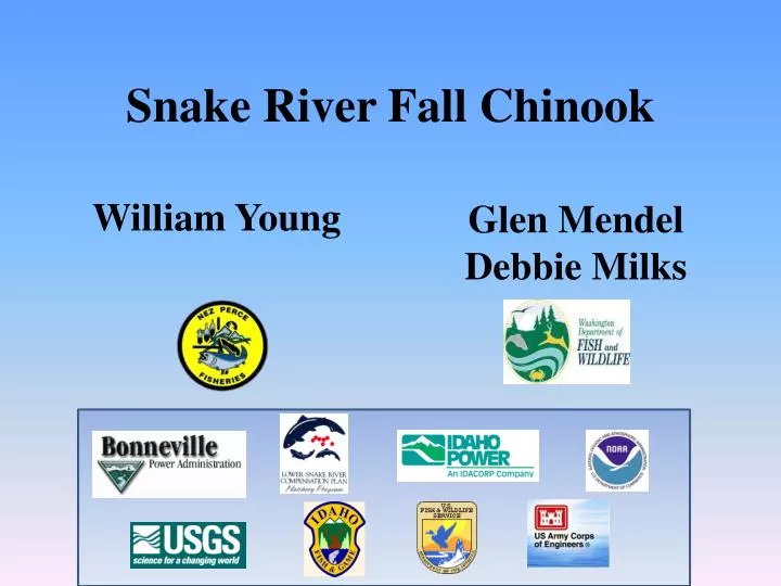 snake river fall chinook