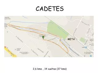 cadetes