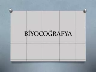 b yoco rafya